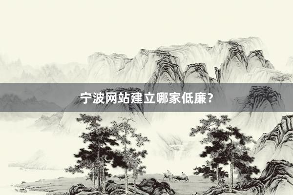 宁波网站建立哪家低廉？
