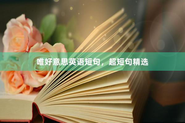 唯好意思英语短句，超短句精选