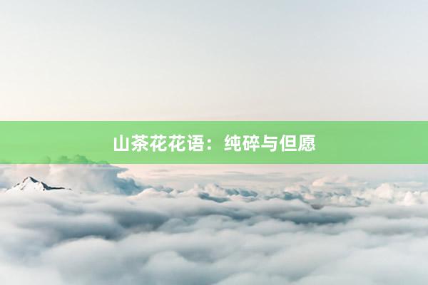 山茶花花语：纯碎与但愿