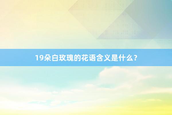 19朵白玫瑰的花语含义是什么？