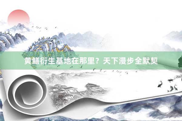 黄鳝衍生基地在那里？天下漫步全默契